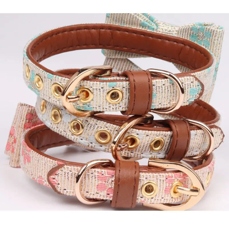 Aminger Bow Collar cj