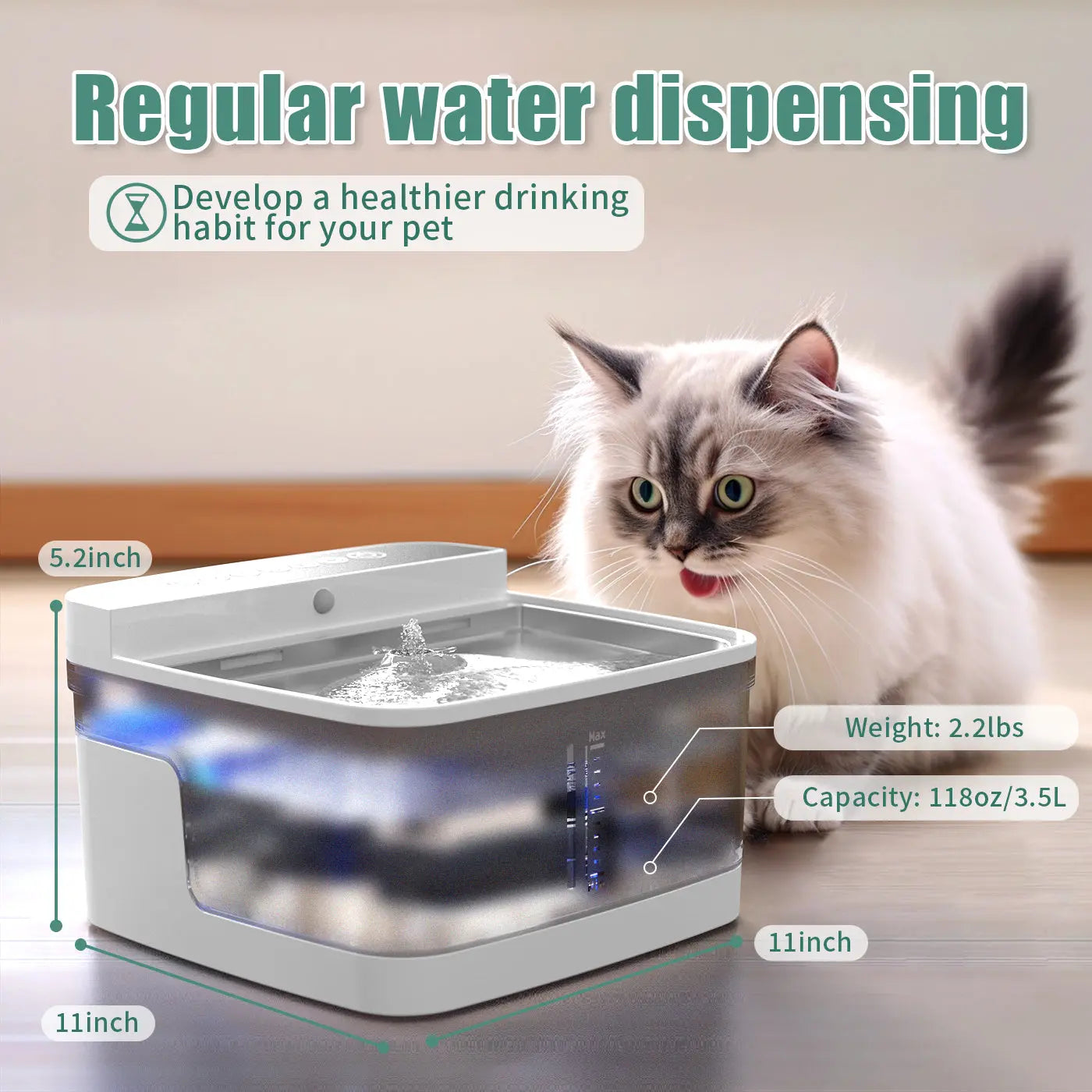 Pet Water Dispenser cj