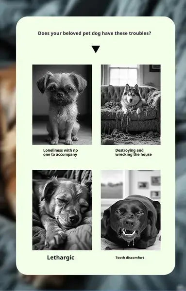 Interactive Pet Sound Ball | Squeaky Voice Toy for Dogs & Cats cj